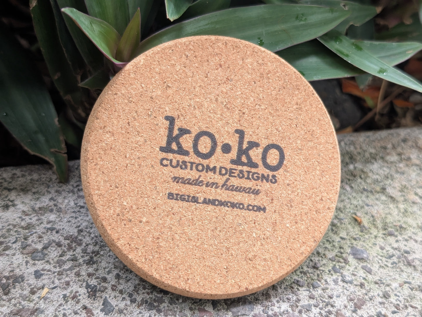 Monstera - Cork Coaster