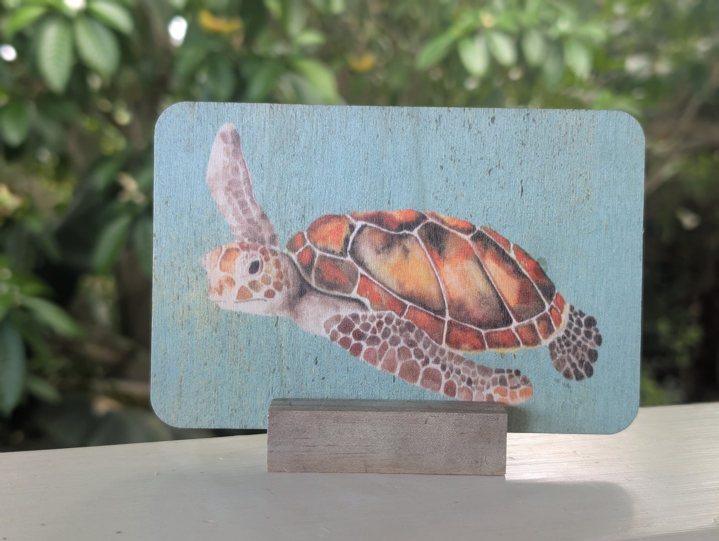 Mini Signs