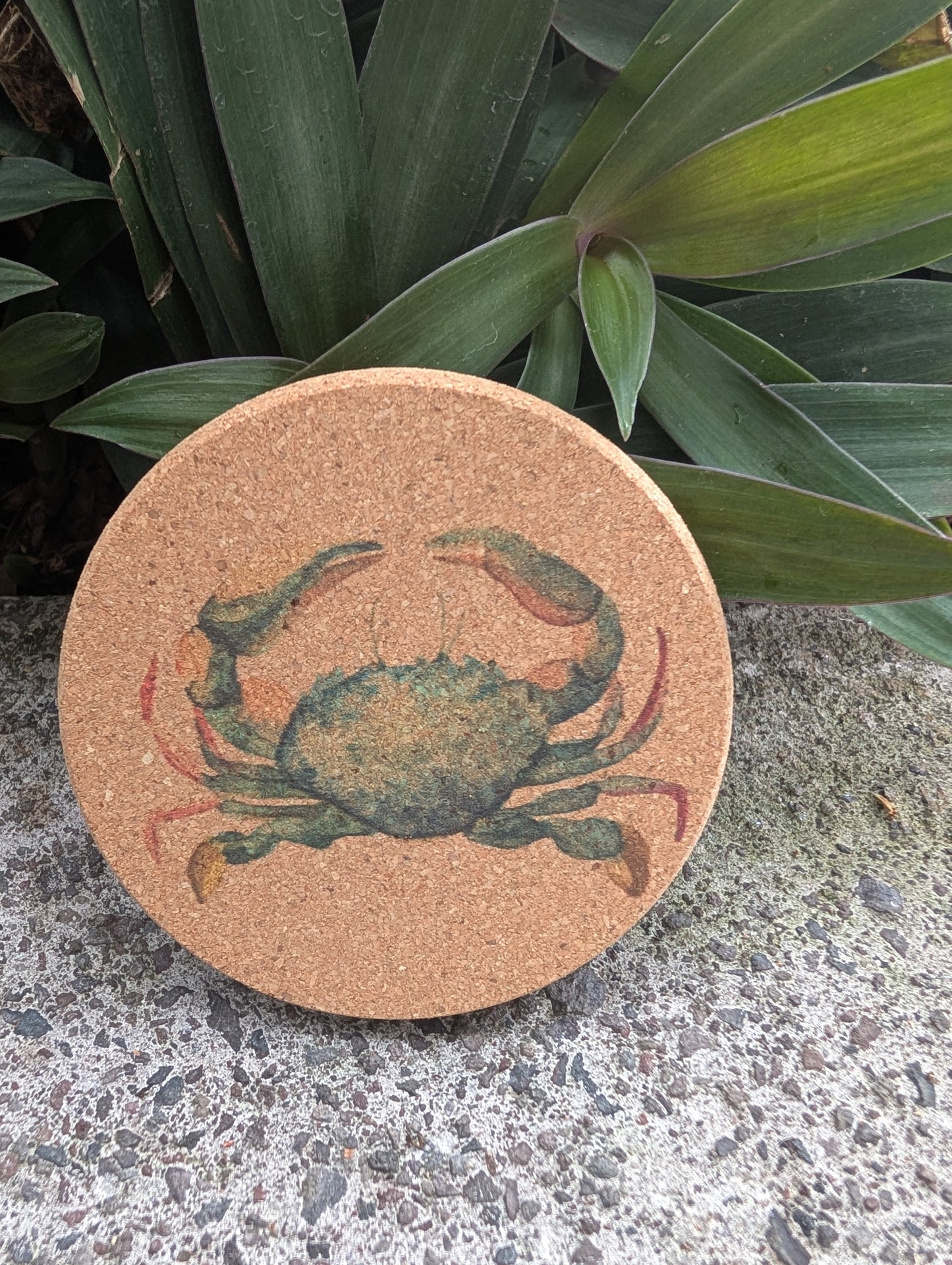 Full Color - Cork Coasters