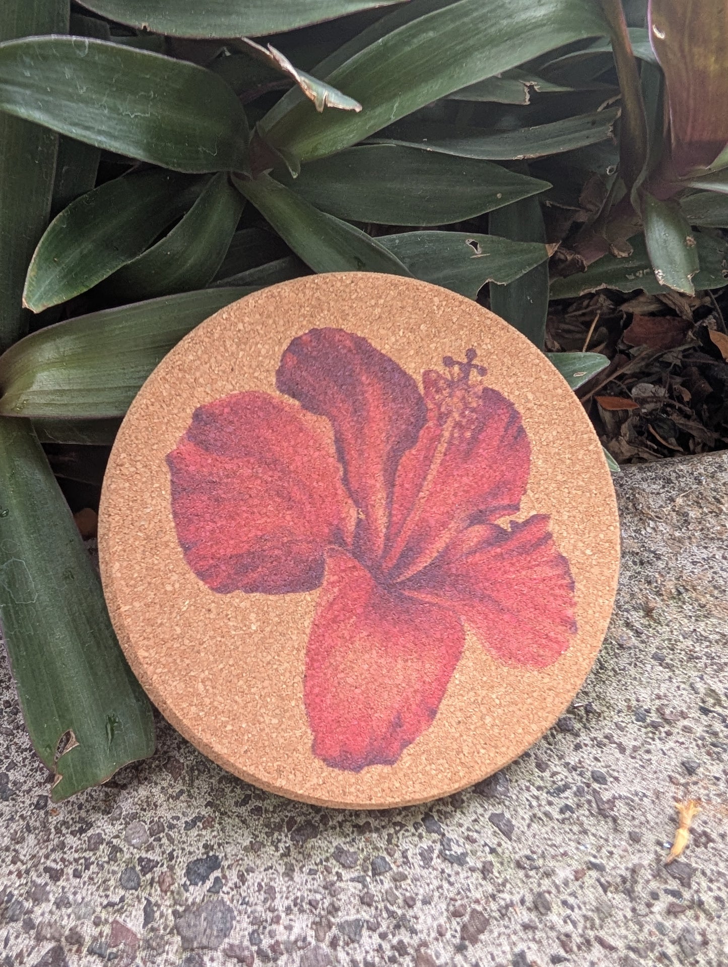 Full Color - Cork Coasters