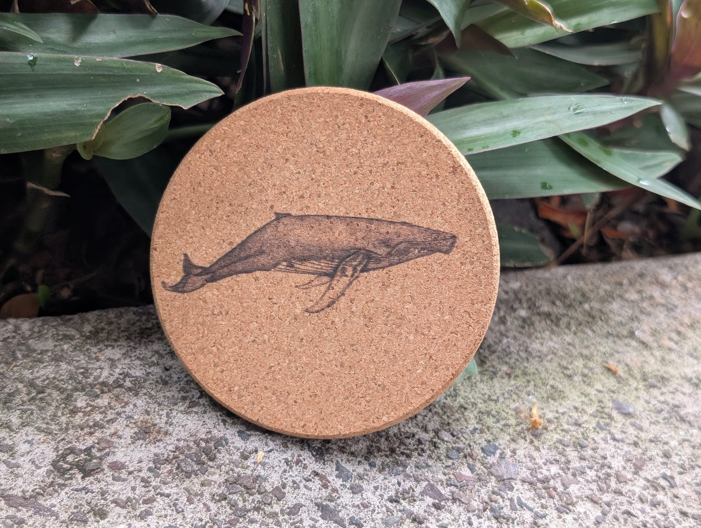 Vintage Whale - Cork Coaster