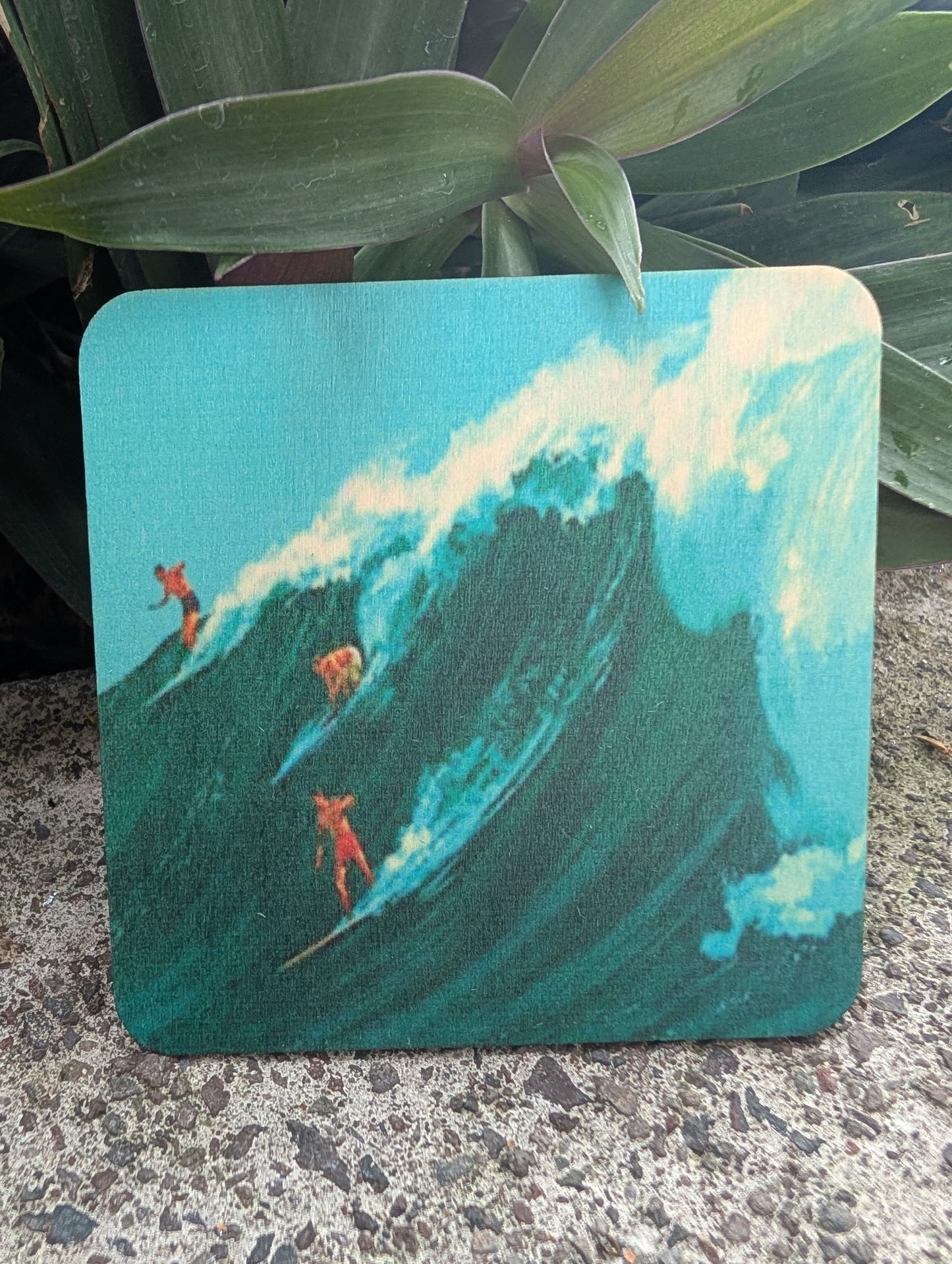 Vintage North Shore - Wood Coaster