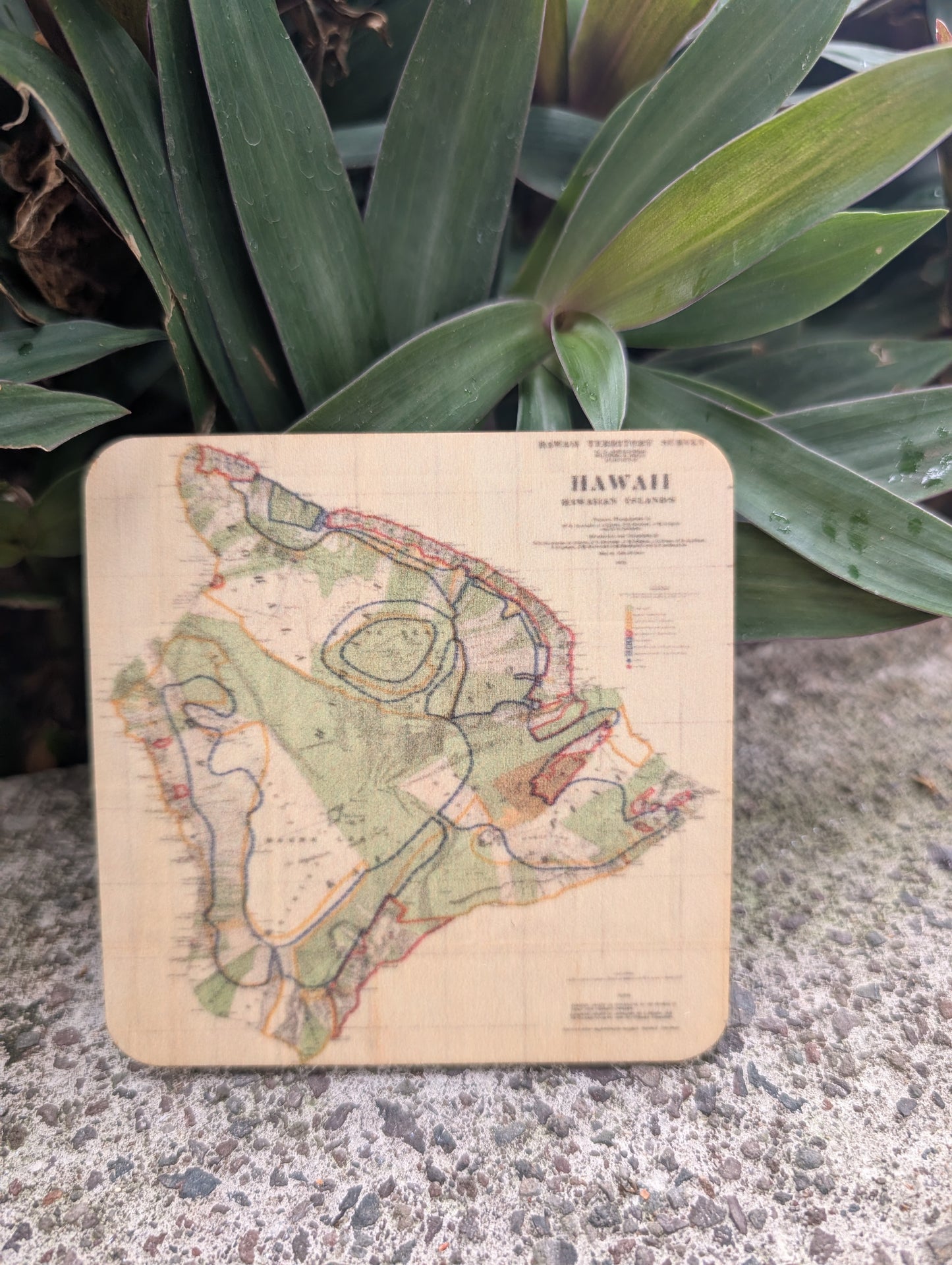 Vintage Big Island Map - Wood Coaster