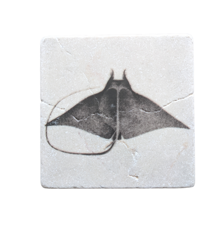 Tumbled Stone Coasters