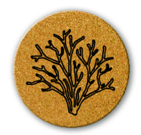 Load image into Gallery viewer, Coral - Cork Coaster
