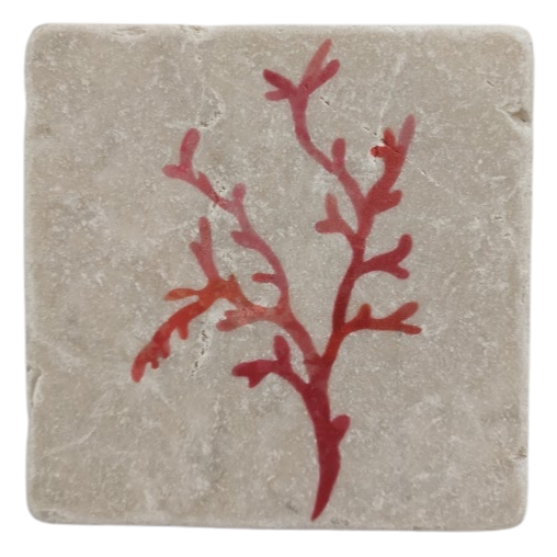 Tumbled Stone Coasters