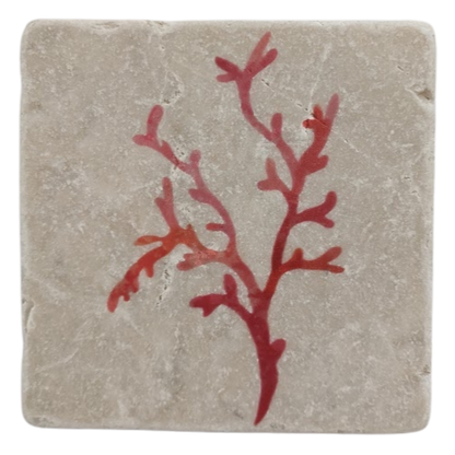 Tumbled Stone Coasters