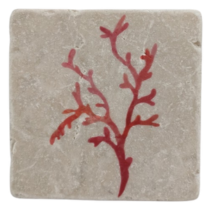 Red Stem Coral - Stone Coaster