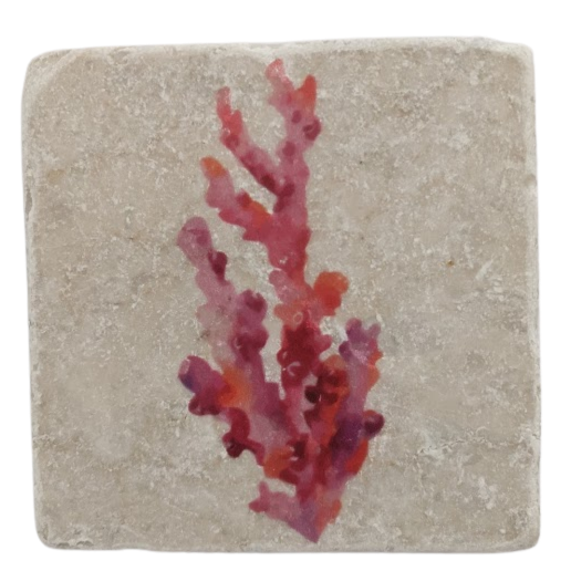 Tumbled Stone Coasters