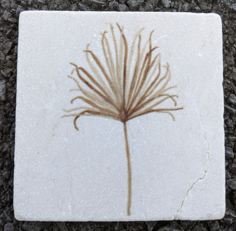 Frondy - Stone Coaster