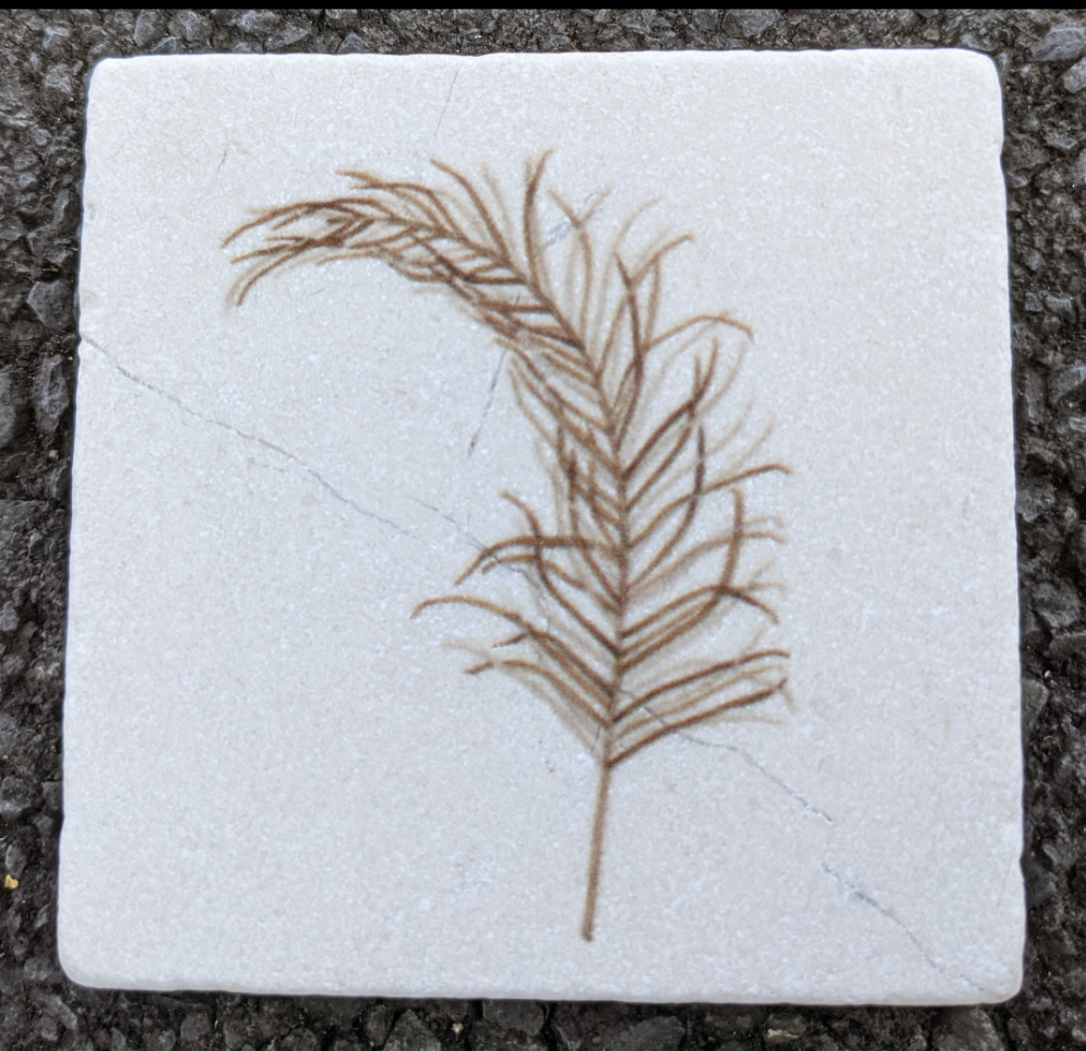 Feather - Stone Coaster