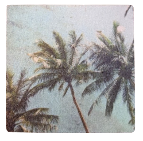 Vintage Palms - Wood Coaster
