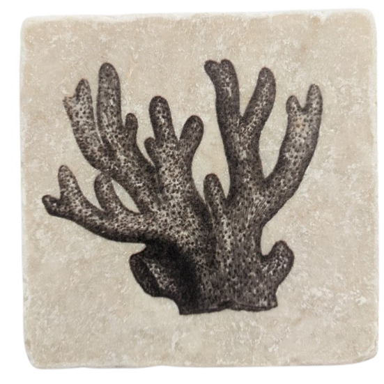 Vintage Coral- Stone Coaster
